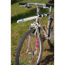 Barre droite Canibike VTT ou v�lo + ligne de trait 1 chien - image 5
