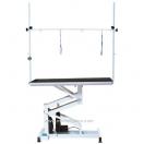 Table de toilettage �lectrique