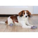 Chaussettes pour chien avec pastilles anti d�rapantes - image 3