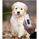 Lecteur de puce �lectronique Pocket