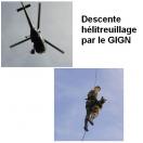 Harnais h�litreuillage Pro, pour chien - image 3