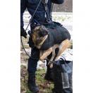 Harnais h�litreuillage Pro, pour chien - image 6
