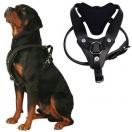 Harnais scorpion pour chiens d�intervention