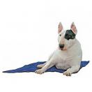 Tapis rafra�chissant pour chien