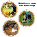 M�daille avec ruban tour de cou - Agility - Ring - RCI