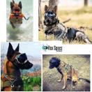 Lunette / masque de protection des yeux pour chien - LARGE (chien de 13 � 45 kg) - Rex Specs - image 2