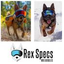 Lunette / masque de protection des yeux pour chien - LARGE (chien de 13 � 45 kg) - Rex Specs - image 4