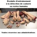 Partie de corps pour entrainement � la d�tection de cadavre ou restes humains
