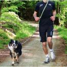 Laisse bandouli�re / Ceinture Jogging - image 4