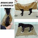 Civi�re d�urgence pour �vacuation d�un chien bless�