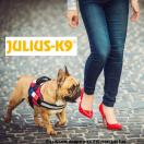 Harnais IDC POWER Julius K9 - FRANCE - image 1