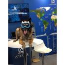 Cam�ra embarqu�e K9 VISION SYSTEM PRO - image 4