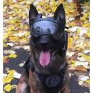 Cam�ra embarqu�e K9 VISION SYSTEM ONE