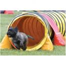 Sac de lestage - Agility K9 Sport