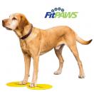 FitPaws Targets (lot de 4) - image 2