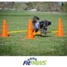 FitPaws Hurdle Set, jeu de haies - image 4