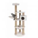 Arbre � chat Nigella