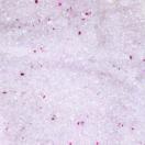 Liti�re cristaux extra fine - image 3