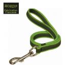 Laisse gomme avec poign�e - Vert