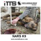 Mannequin d�entrainement NARS K9 - ITTS