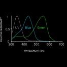 Laser k9 - d�signateur � distance pour d�tection - image 2