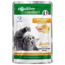 Equilibre & Instinct - Effil�s sauce poulet, courges, agrumes