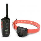Beeper + T�l�commande 800 m pour chien Dogtra - RB1000