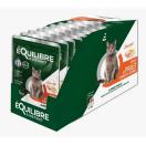 Equilibre et Instinct - Eminc�s chat, poulet courges et agrumes