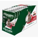 Equilibre et Instinct - Eminc�s chat, boeuf, haricots et tomates