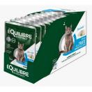 Equilibre et Instinct - Effil�s chat, truite, courgettes et thym