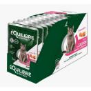 Equilibre et Instinct - Effil�s chat, saumon, ananas et cranberries