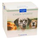 Pet Phos chien sportif � la L.carnitine