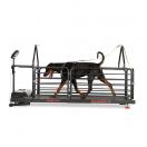 Tapis de course Dog RUNNER ORTHO PRO - tapis roulant pour chien - image 2