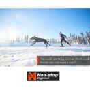 Harnais Freemotion - NON-STOP Dogwear - image 3