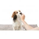 Prot�ge doigt usage unique pour soins des dents - image 3