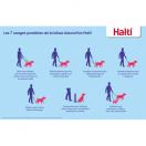 Laisse d�entrainement HALTI - image 6