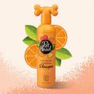 Shampoing Ditch the Dirt, d�sodorisant parfum ORANGE 300 ml - PET HEAD
