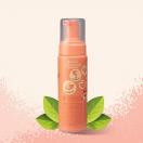 Spray mousse Quick Fix nettoyant pattes et t�tes PECHE 200 ml - PET HEAD - image 4