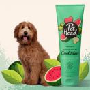 Apr�s shampoing Furtastic, d�sodorisant parfum PASTEQUE 250 ml - PET HEAD - image 5