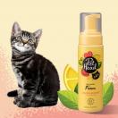 Spray mousse Felin� Good, shampoing sans rin�age LEMON BERRY 200 ml - PET HEAD - image 5
