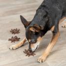 Friandise araign�e Halloween pour chien - Trixie - image 2