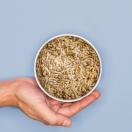P�t�e pour chat au saumon et au hareng OPTIMAL - William�s - image 2