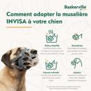Museli�re discr�te INVISA - image 6