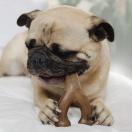 WISHBONE - Jouet � mastiquer au go�t de Poulet - image 2