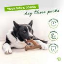 WISHBONE - Jouet � mastiquer au go�t de Bacon - image 2