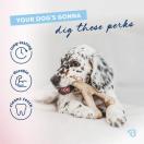 PUPPY WISHBONE - Jouet � mastiquer sp�cial chiot au go�t de Bacon - image 3