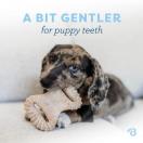 PUPPY DENTAL PACK - Jouet � mastiquer sp�cial chiot au go�t de Bacon - image 2