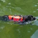 Harnais de sauvetage TURTLE - ALP DESIGN - image 3