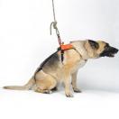 Harnais de treuillage SMEUS - KONG ITALY - image 3