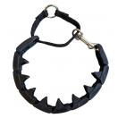 Collier PRO TRAINING - Starmark